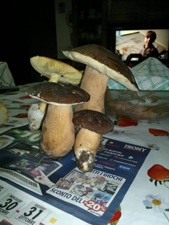 הוילה סטורניה Poggio Mario מראה חיצוני תמונה